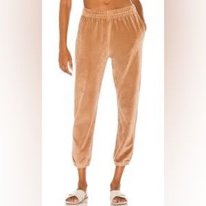 Anine Bing Tan Velvet Pants